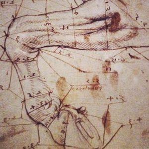 Meet your Posher, Lilith